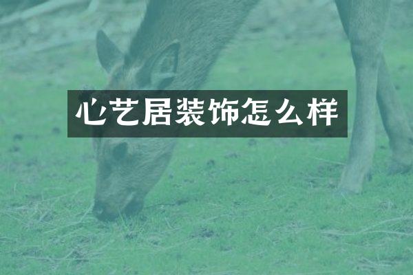 心艺居装饰怎么样
