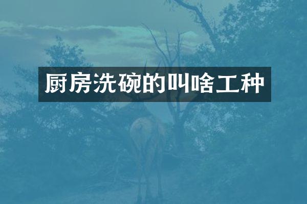 厨房洗碗的叫啥工种