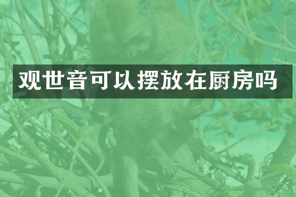 观世音可以摆放在厨房吗