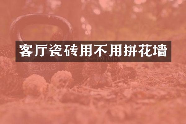 客厅瓷砖用不用拼花墙