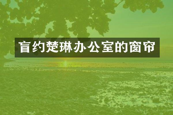 盲约楚琳办公室的窗帘