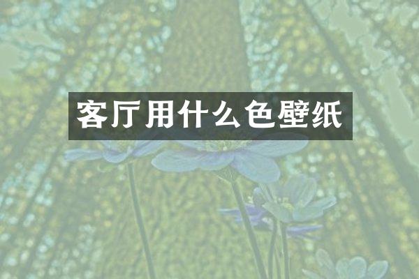 客厅用什么色壁纸