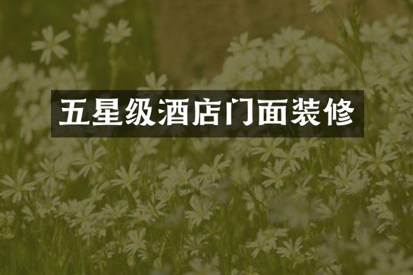 五星级酒店门面装修