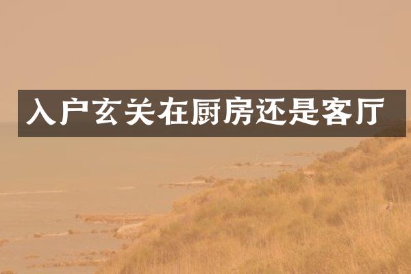 入户玄关在厨房还是客厅