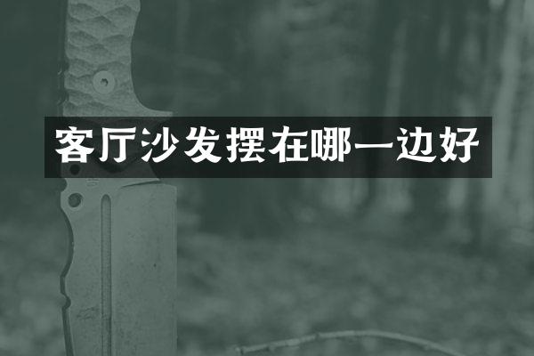 客厅沙发摆在哪一边好