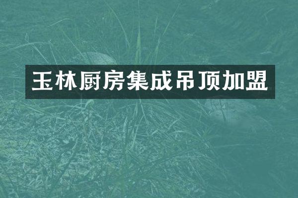 玉林厨房集成吊顶加盟