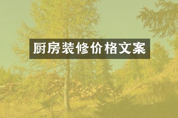 厨房装修价格文案