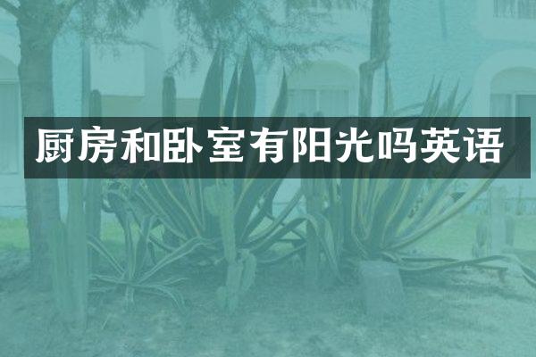厨房和卧室有阳光吗英语