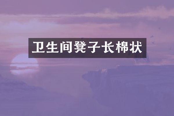 卫生间凳子长棉状