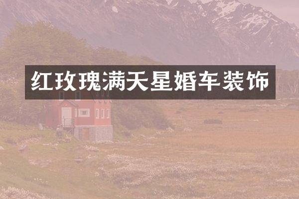 红玫瑰满天星婚车装饰