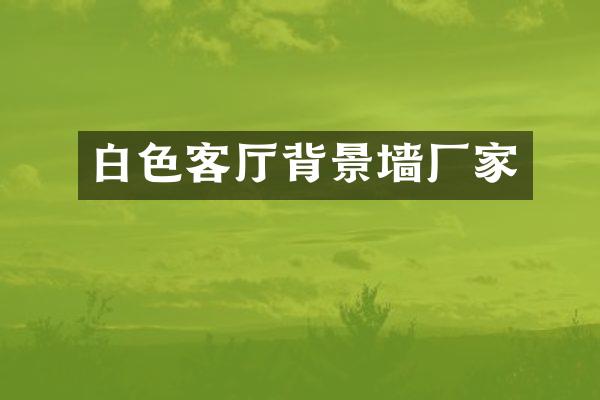 白色客厅背景墙厂家
