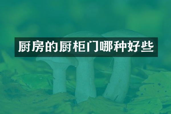 厨房的厨柜门哪种好些