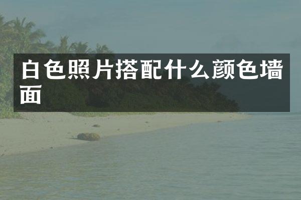白色照片搭颜色墙面