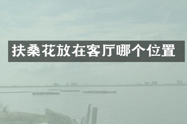 扶桑花放在客厅哪个位置