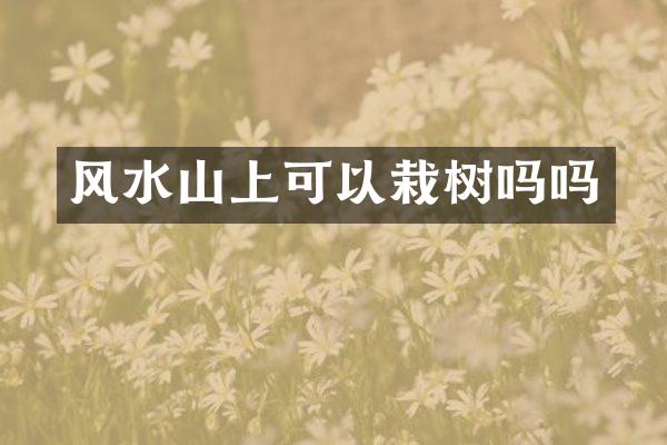 风水山上可以栽树吗吗