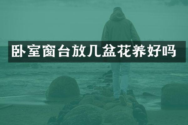 卧室窗台放几盆花养好吗