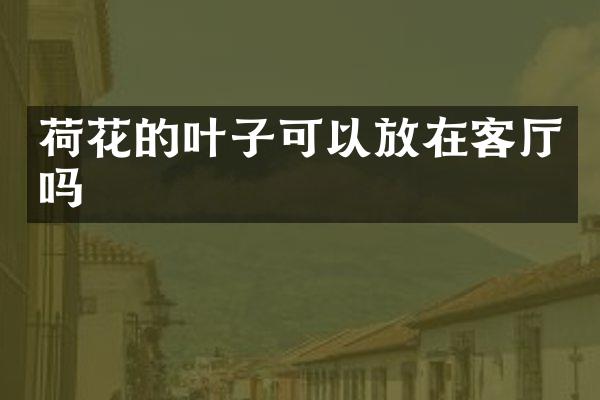 荷花的叶子可以放在客厅吗