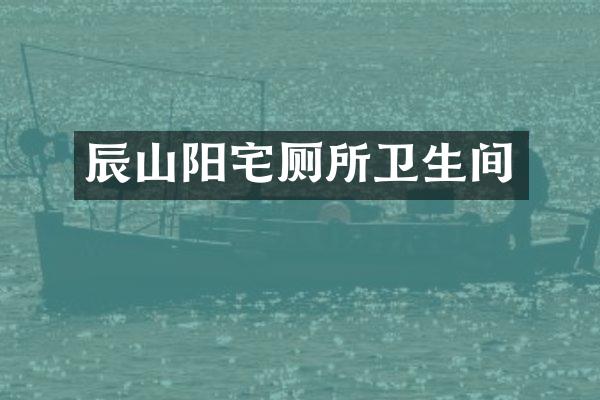 辰山阳宅厕所卫生间