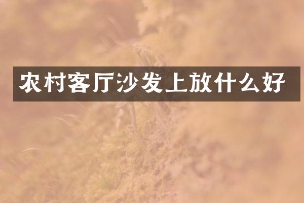 农村客厅沙发上放什么好