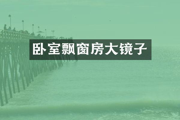卧室飘窗房大镜子