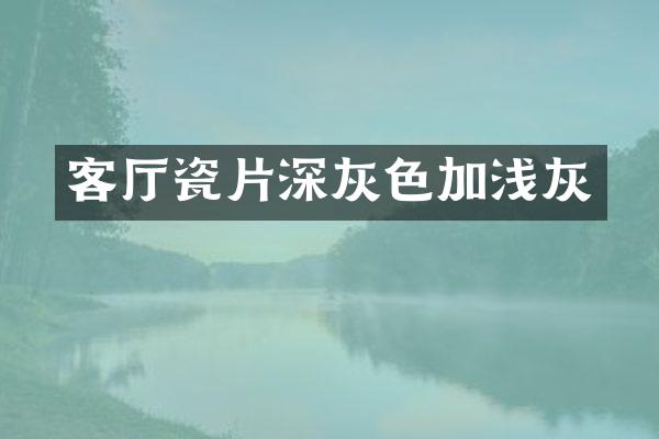 客厅瓷片深灰色加浅灰