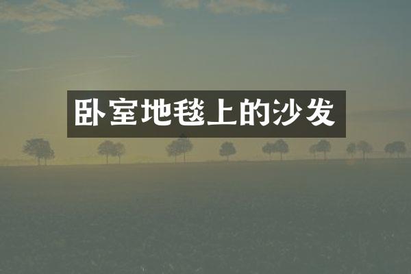 卧室地毯上的沙发