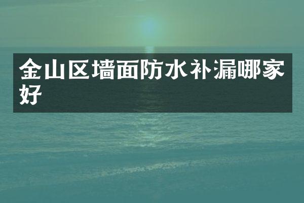 金山区墙面防水补漏哪家好