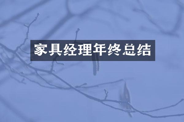 家具经理年终总结