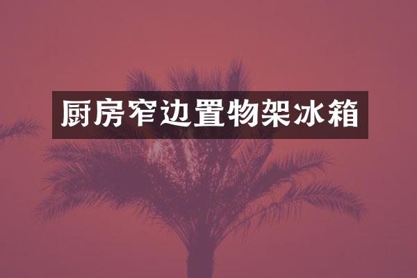 厨房窄边置物架冰箱