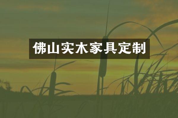 佛山实木家具定制