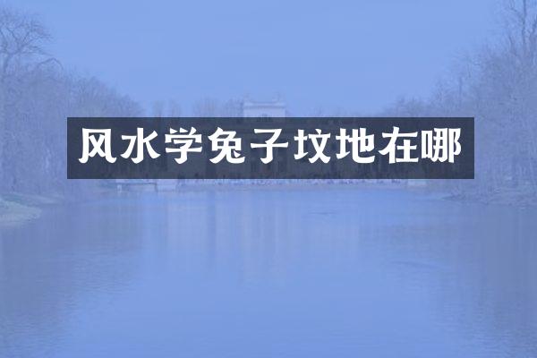 风水学兔子坟地在哪