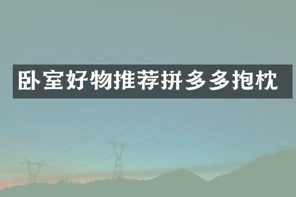卧室好物推荐拼多多抱枕