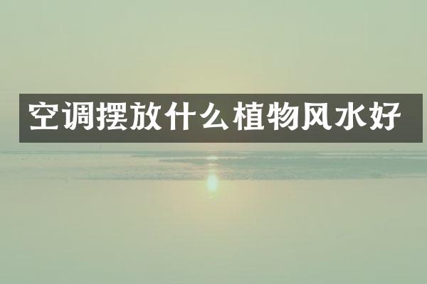 空调摆放什么植物风水好