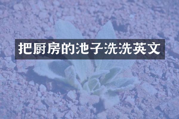 把厨房的池子洗洗英文