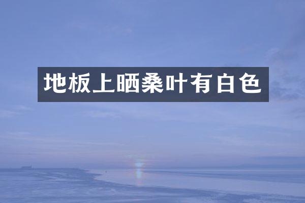 地板上晒桑叶有白色