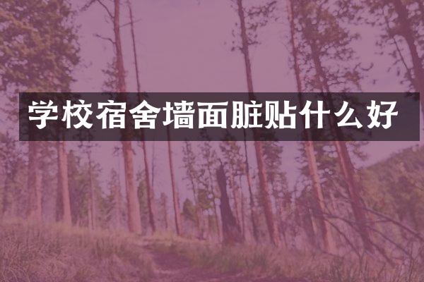 学校宿舍墙面脏贴什么好