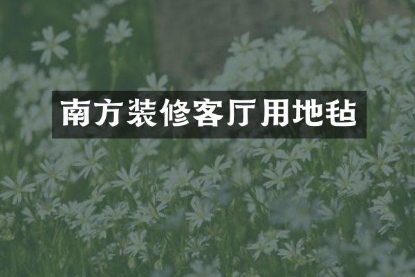 南方装修客厅用地毡