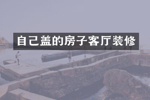 自己盖的房子客厅装修