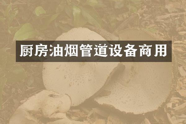 厨房油烟管道设备商用