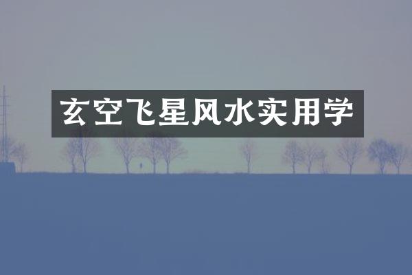 玄空飞星风水实用学