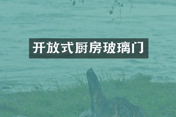 开放式厨房玻璃门