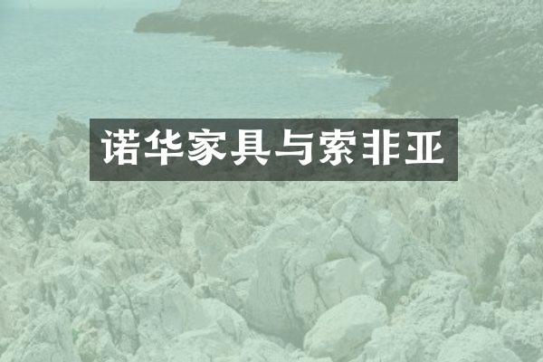 诺华家具与索非亚