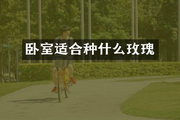 卧室适合种什么玫瑰