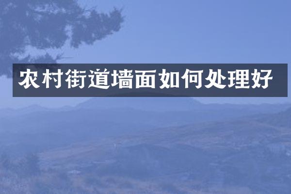 农村街道墙面如何处理好