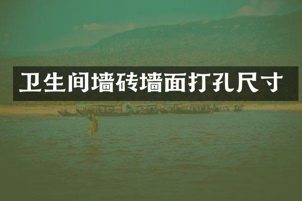 卫生间墙砖墙面打孔尺寸