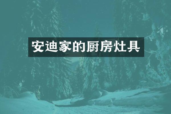 安迪家的厨房灶具