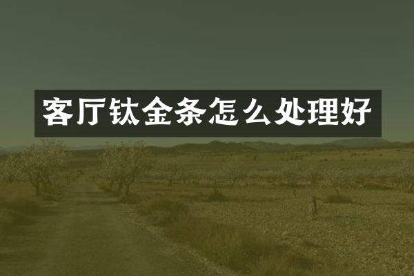 客厅钛金条怎么处理好