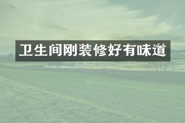 卫生间刚装修好有味道