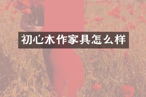 初心木作家具怎么样