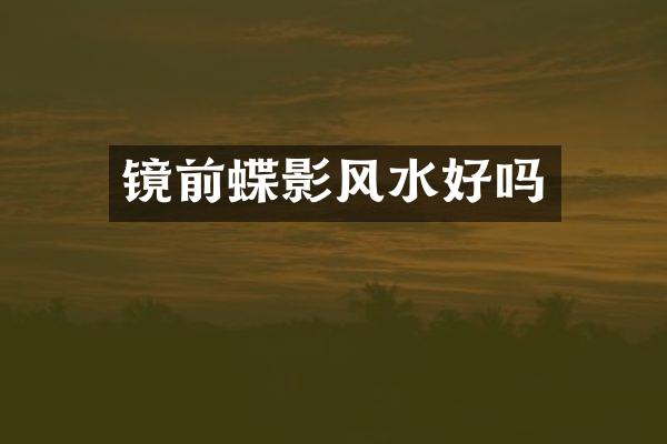 镜前蝶影风水好吗